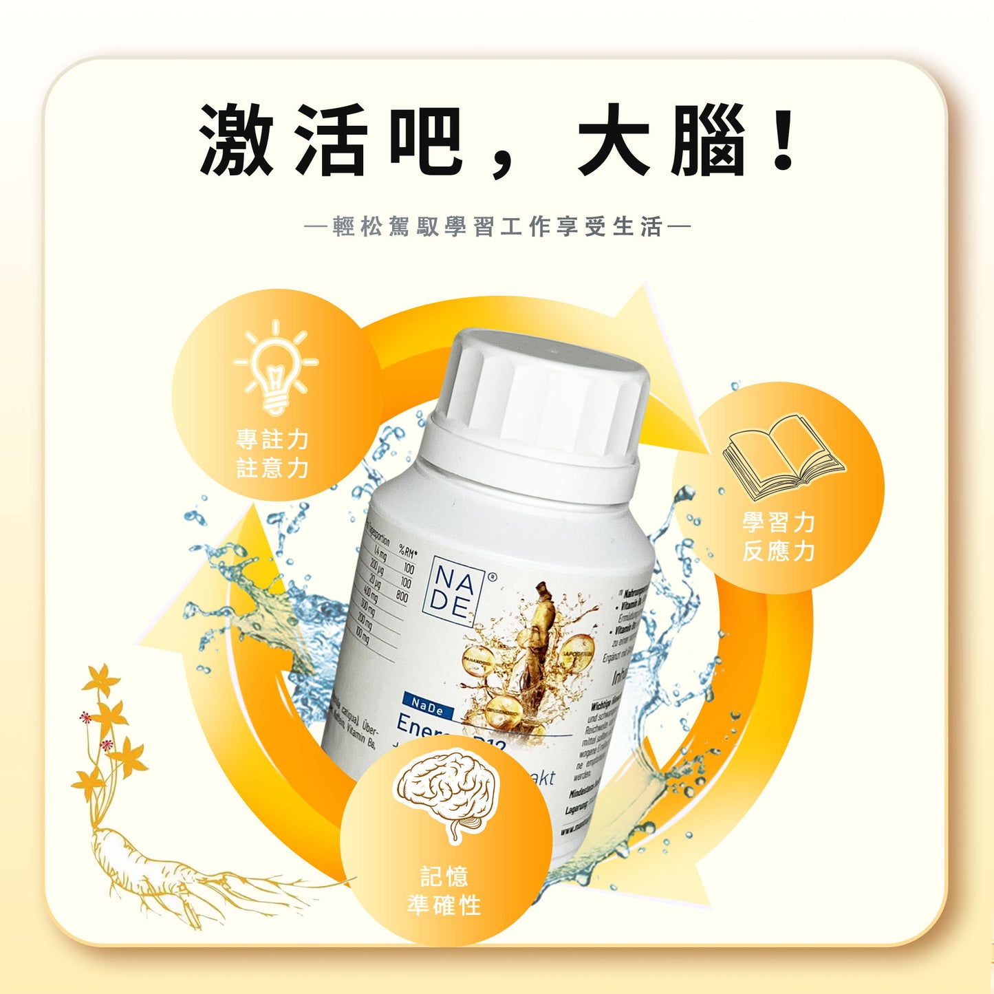 NaDe Energy B12 + Ginseng Extrakt B12+人参皂苷